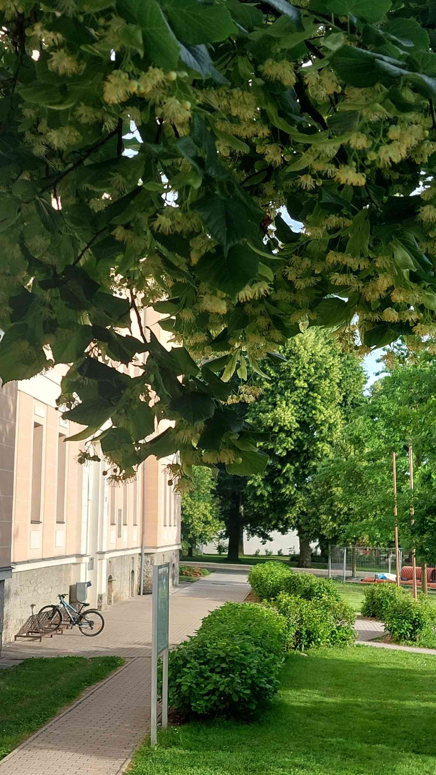 Třídní schůzky 25.09.2025
